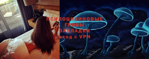 PSILOCYBIN Алексин