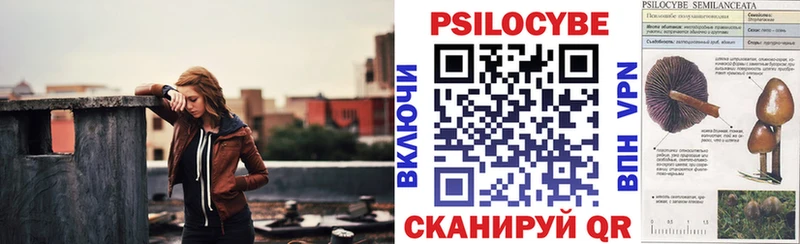 где продают Бабушкин Псилоцибиновые грибы прущие грибы